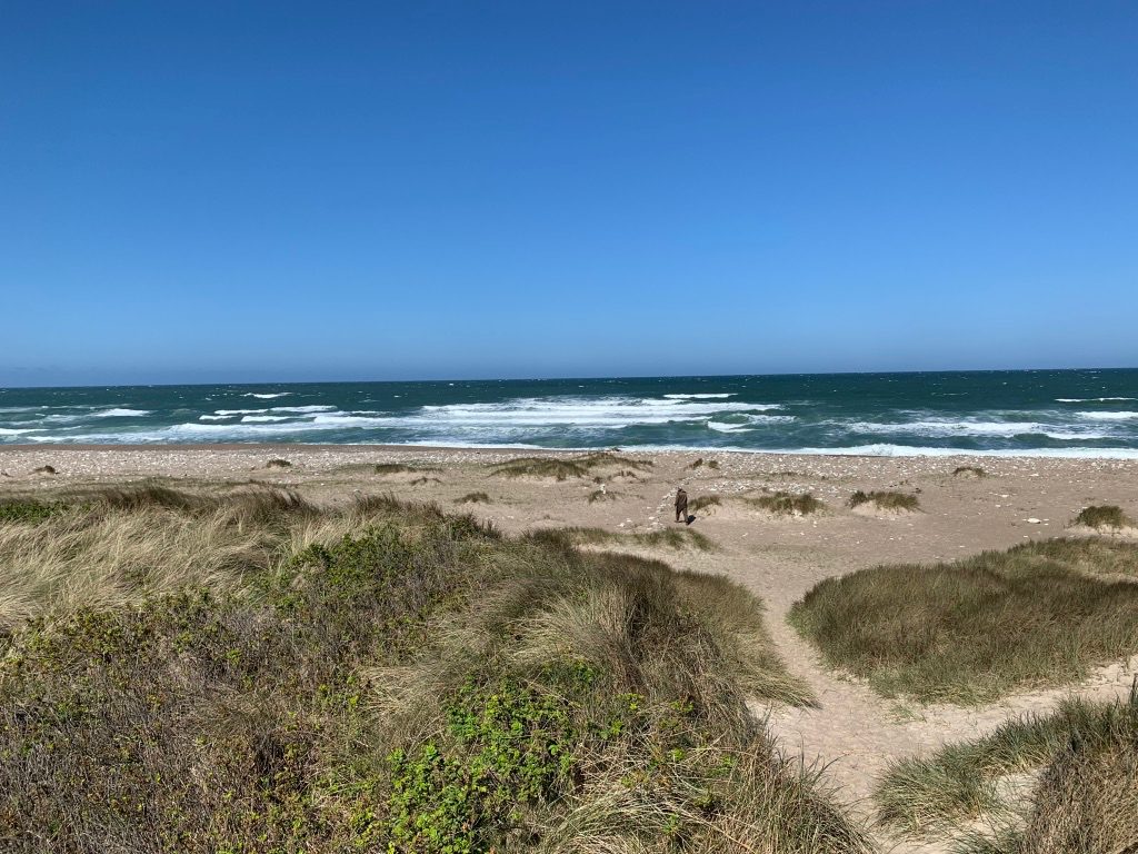 Path through dunes